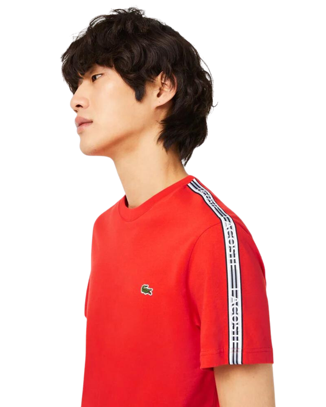 Lacoste Herre klassisk T-shirt