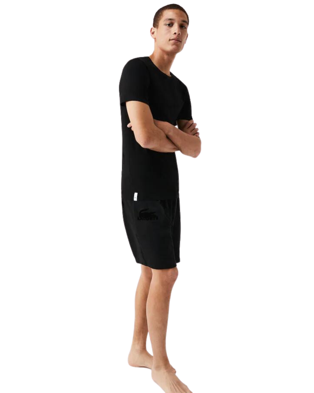 Lacoste Herre Bluser 3i1