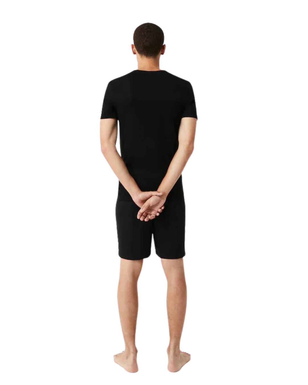 Lacoste Herre Bluser 3i1