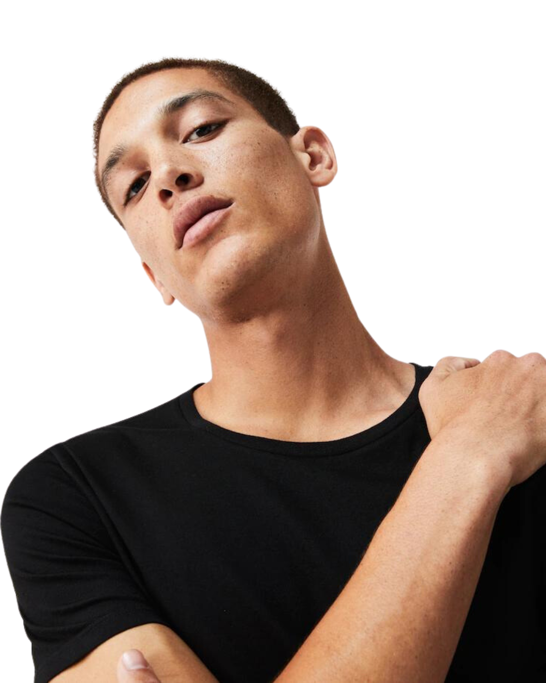Lacoste Herre Bluser 3i1