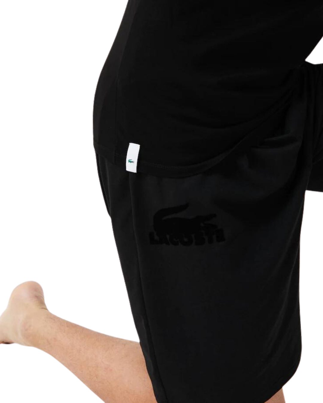 Lacoste Herre Bluser 3i1