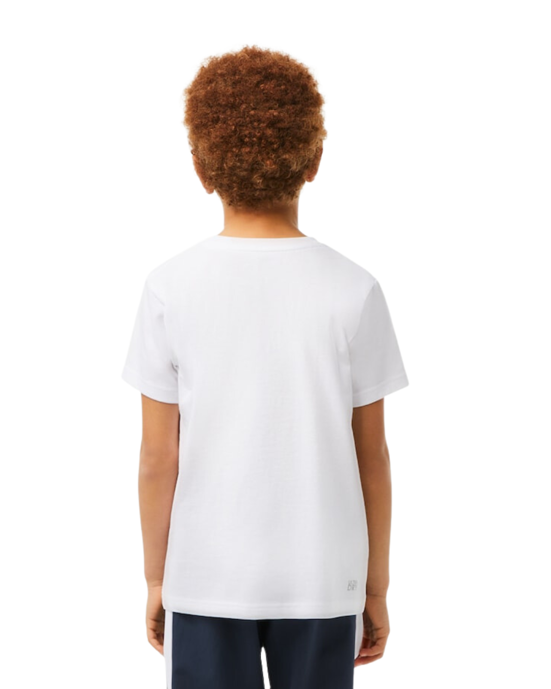 Lacoste Drenge T-shirt